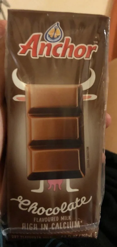 Chocolate Milk 250ml /