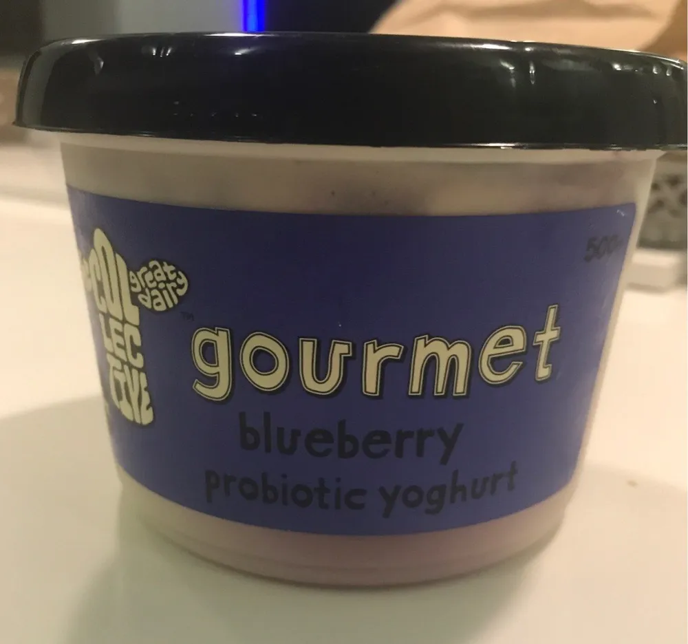 Gourmet blueberry probiotic yoghurt