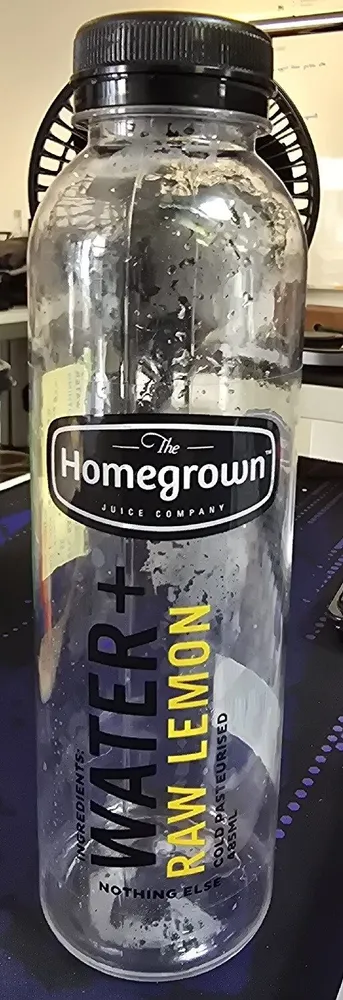 Water + Raw Lemon