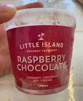 Organic coconut Ice cream