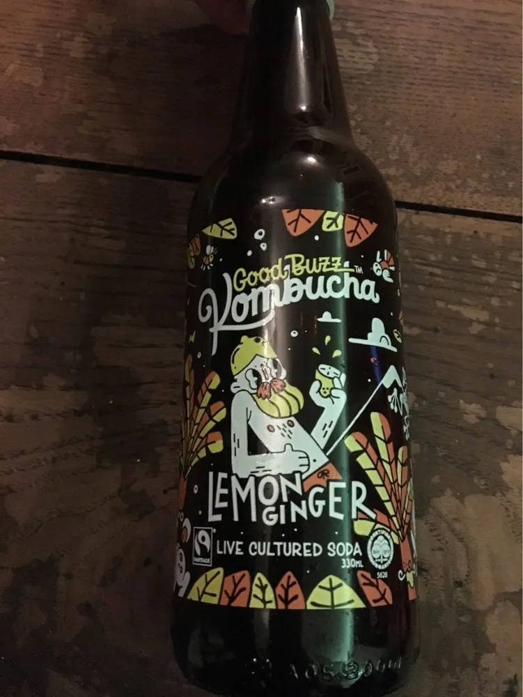 Kombucha lemon gunger