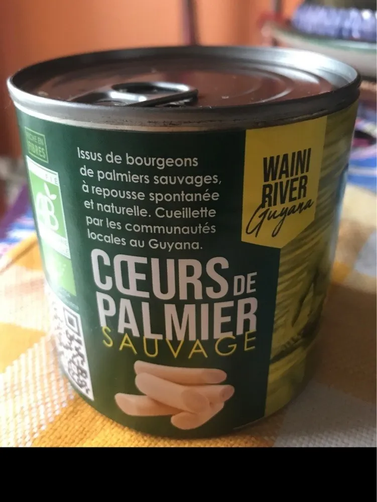 Coeurs de palmiers