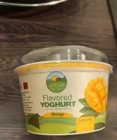 Flavored Yoghurt