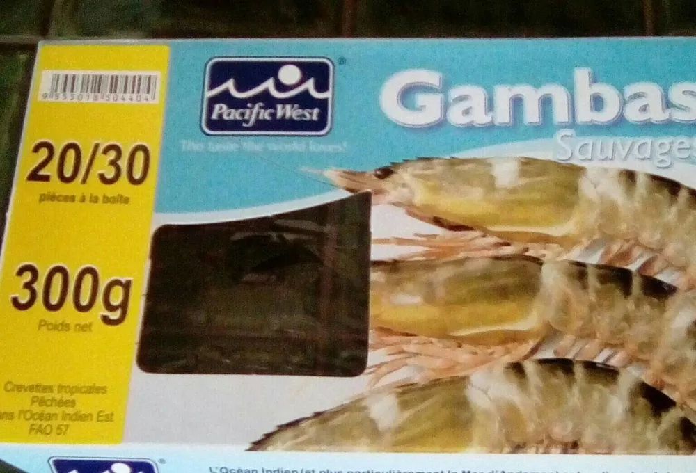 Gambas