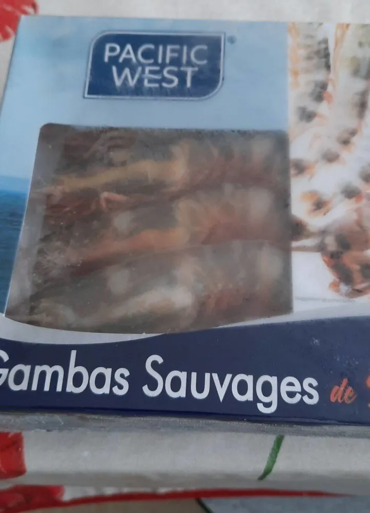 Gambas sauvages de sumatra