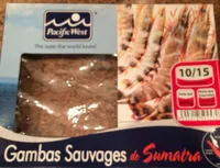 Gambas sauvages de Sumatra