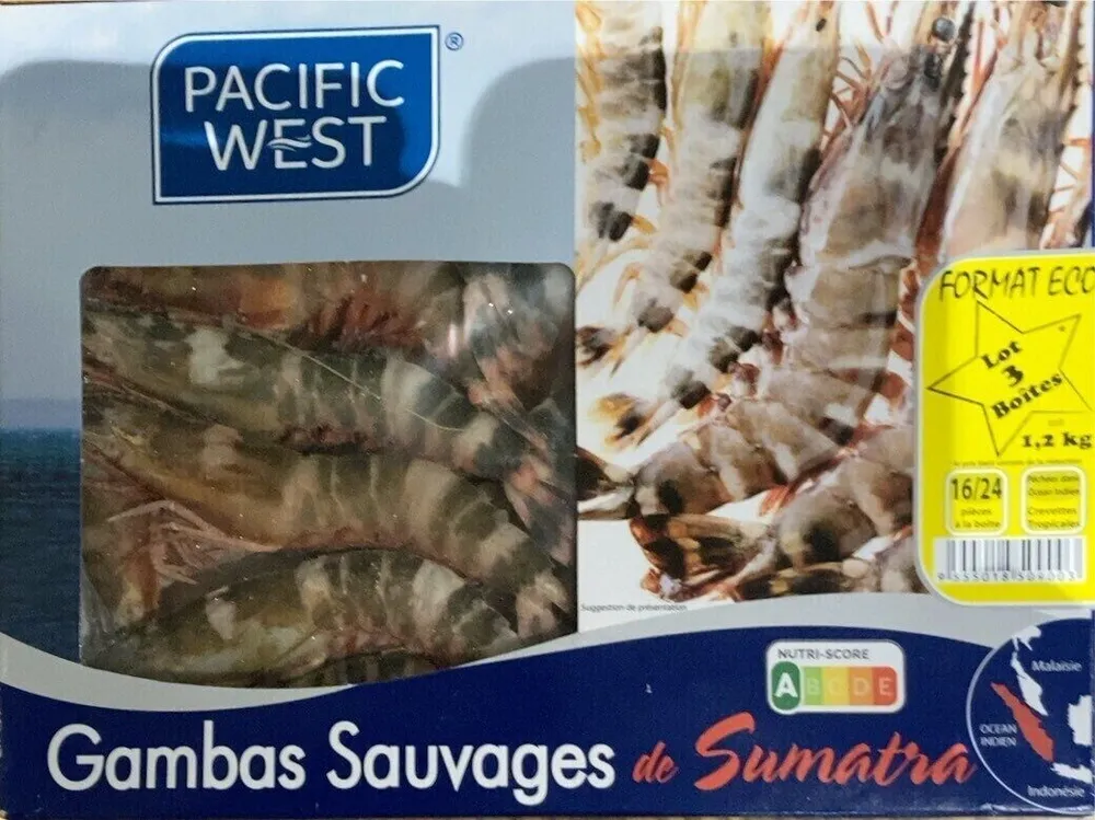 Gambas sauvages