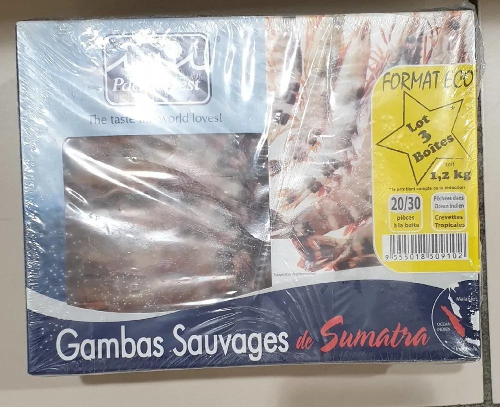 Gambas sauvages de Sumatra