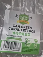 Cam Green Coral Lettuce