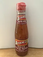 Sauce Pour Nems Ayam™