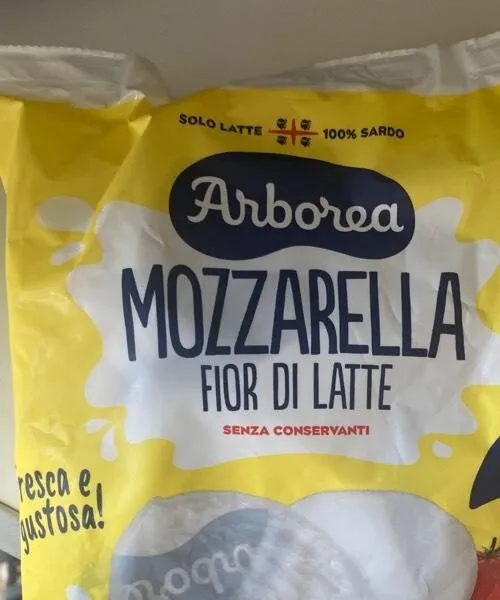 MOZZARELLA FIORDILATTE