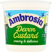 Devon Custard