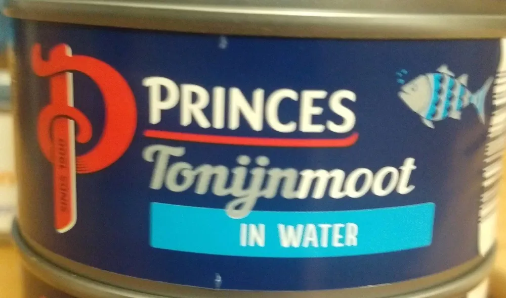 Tonijnmoot in water