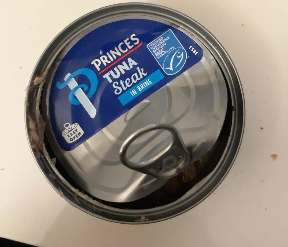 Tuna steak