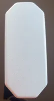 Palau test
