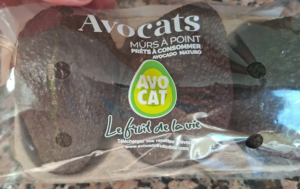 Avocats