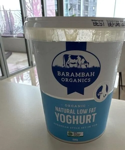 Natural Low Fat Yogurt