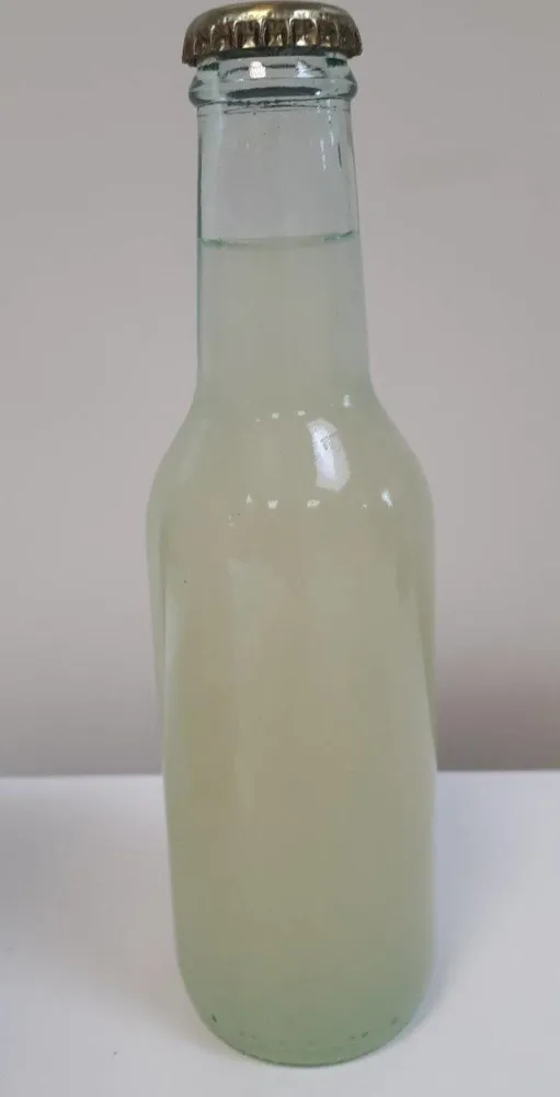 Boisson citronnade bio R1