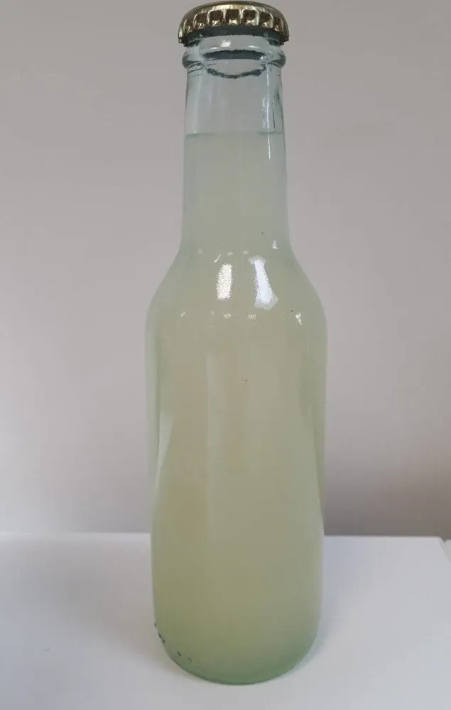 Boisson citronnade bio ITM 2nde propo
