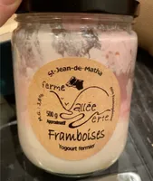 Togourt fermier aux framboises