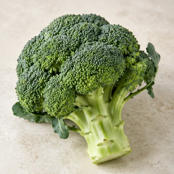 Illustration of a fresh broccoli head