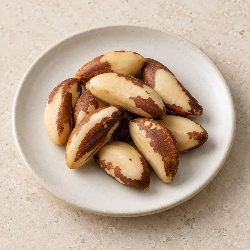 Illustration of brazil nut