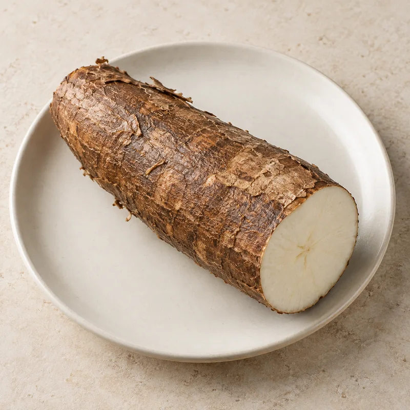 Illustration of cassava raw