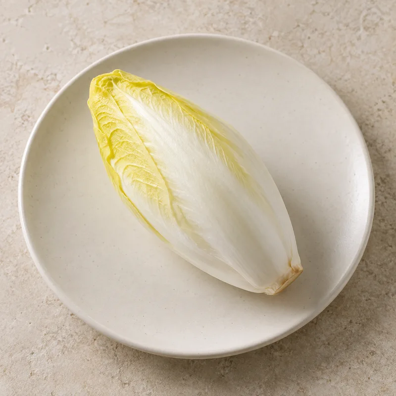 Illustration of endive raw