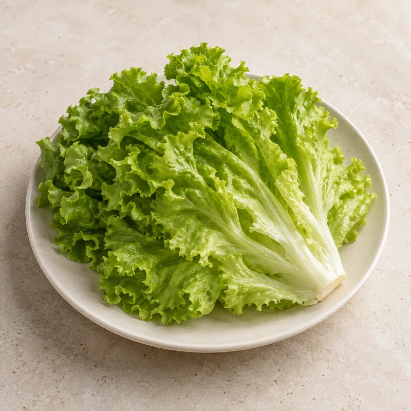 Illustration of lettuce green leaf raw