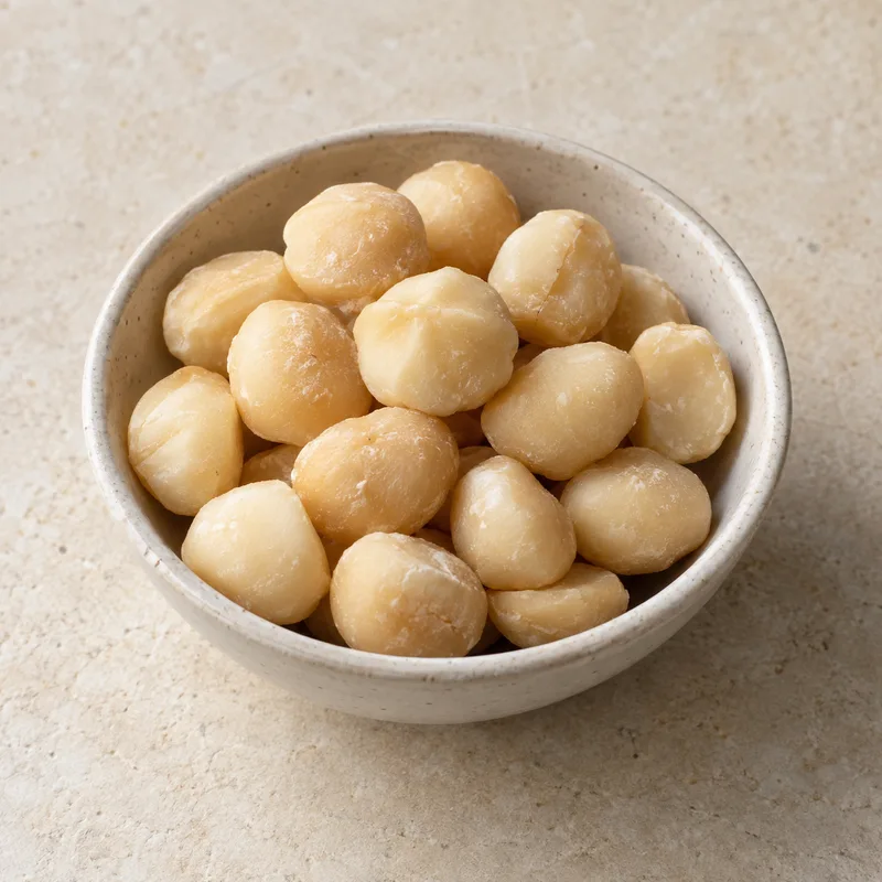 Illustration of macadamia nut no added salt
