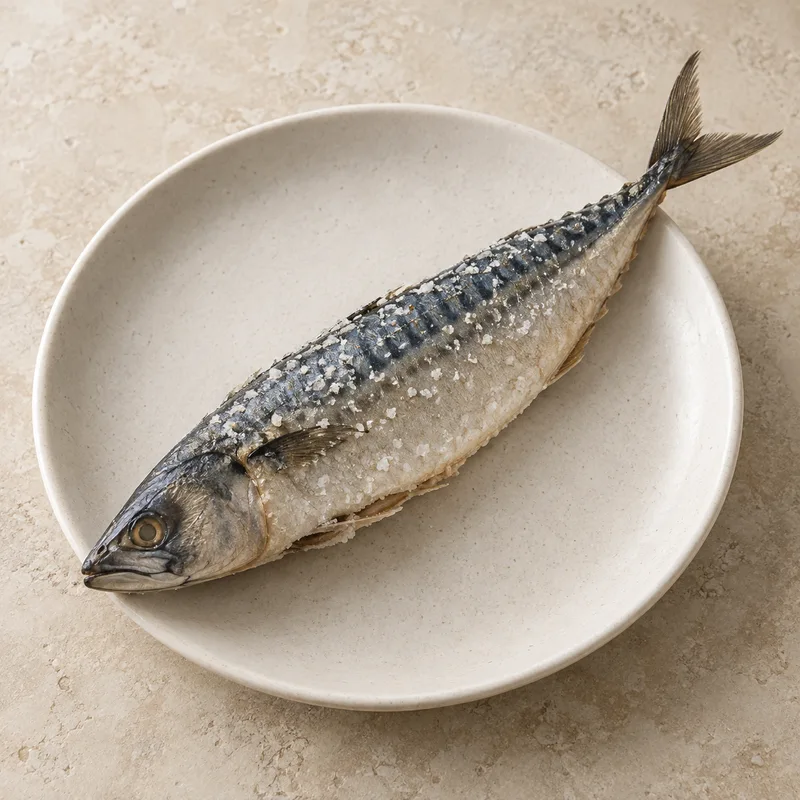 Illustration of fish mackerel salt added